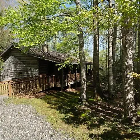 Cozy 'Grey Fox' Cabin Between Boone & Blowing Rock Exterior foto