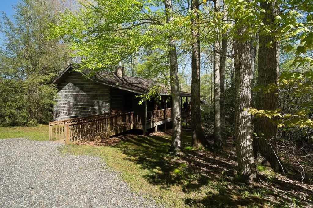 Cozy 'grey Fox' Between Boone & * Blowing Rock